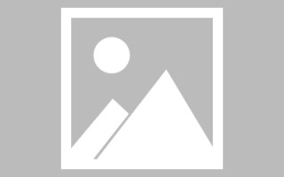 项城养老网站建设总结文案（养老项目宣传展板）